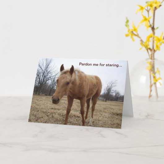 Curious Colt - Verjaardag Kaart (Gele Bloem)