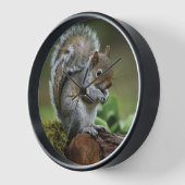 Curious Critter, Klok decoratie (Hoek)