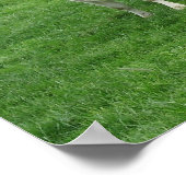 Curious Dutch Dairy Cows Poster Print Gifts (Hoek)