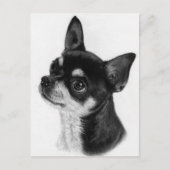 Curious Eyes - Hand Painted Chihuahua Briefkaart (Voorkant)