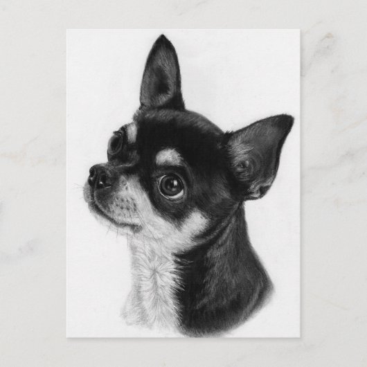 Curious Eyes - Hand Painted Chihuahua Briefkaart (Voorkant)