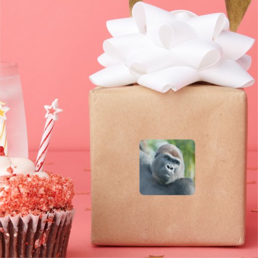 Curious Gorilla Standing Tall Vierkante Sticker (Feest)