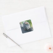 Curious Gorilla Standing Tall Vierkante Sticker (Envelop)