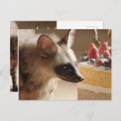 Curious Hyena & Cake Postcard Briefkaart (Voorkant / Achterkant)