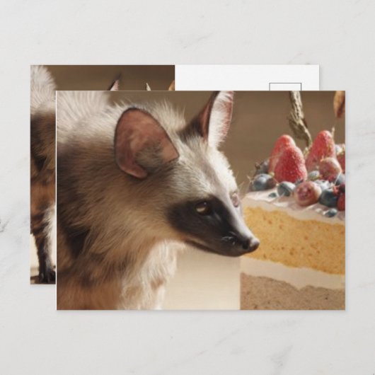 Curious Hyena & Cake Postcard Briefkaart (Voorkant / Achterkant)