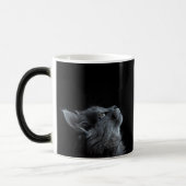 Curious Kitten Black Magische Mok (Links)