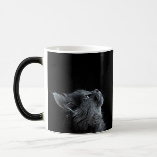 Curious Kitten Black Magische Mok (Links)