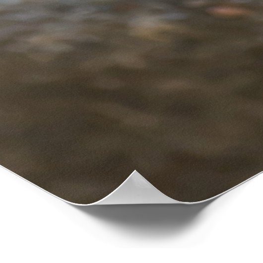 "Curious Little Man" Mannelijke House Sparrow Post Poster (Hoek)