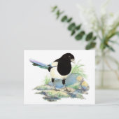 Curious Magpie Briefkaart (Staand voorkant)