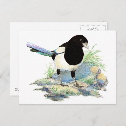 Curious Magpie Briefkaart (Voorkant / Achterkant)