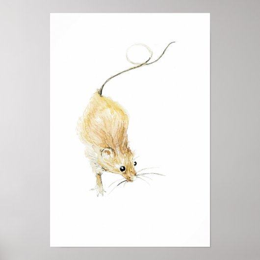 Curious Muis Afdruk Poster (Voorkant)