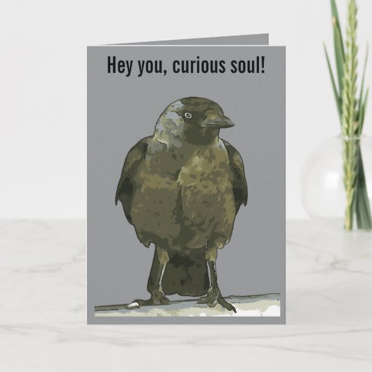 Curious Perch Black Hooded Crow Kaart (Voorkant)