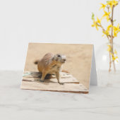 Curious Prairie Dog Kaart (Gele Bloem)