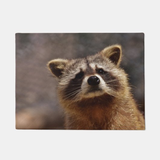 Curious Raccoon Deurmat (Voorkant)