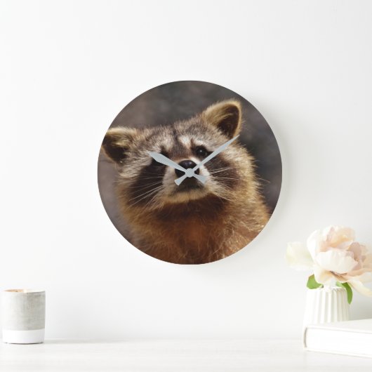 Curious Raccoon Grote Klok (Huis)