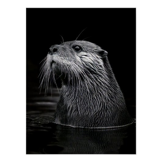 Curious Sea Otter Monochromatic Water Portrait Perfect Poster (Voorkant)