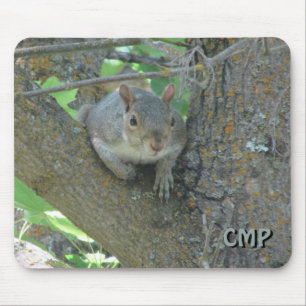 Curious Squirrel in Tree with Your Initials Muismat