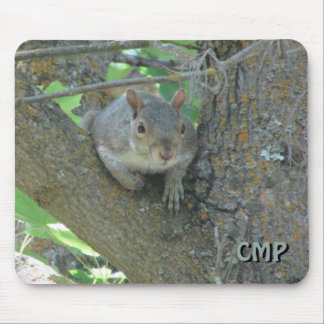 Curious Squirrel in Tree with Your Initials Muismat