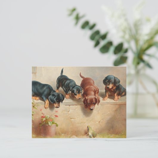 Curious Teckel Puppies | Carl Reichert Briefkaart (Staand voorkant)