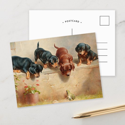 Curious Teckel Puppies | Carl Reichert Briefkaart