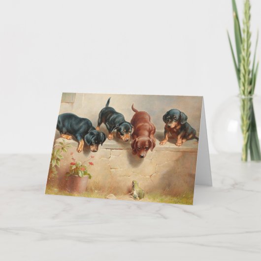 Curious Teckel Puppies | Carl Reichert Kaart (Voorkant)