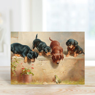 Curious Teckel Puppies   Carl Reichert Kaart