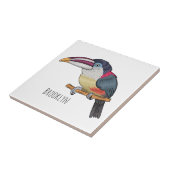 Curl crested aracari bird cartoon illustration tegeltje (Zijkant)
