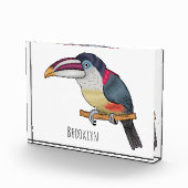 Curl crested aracari vogelschilderij cartoon fotoblokken (Rechts)