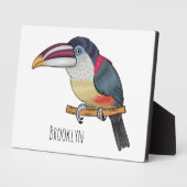 Curl crested aracari vogelschilderij cartoon fotoplaat (Zijkant)