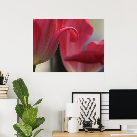 Curl Poster (Thuiskantoor)