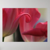 Curl Poster (Voorkant)