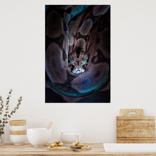 CURled BOA CONSTRICTOR Poster (Keuken)