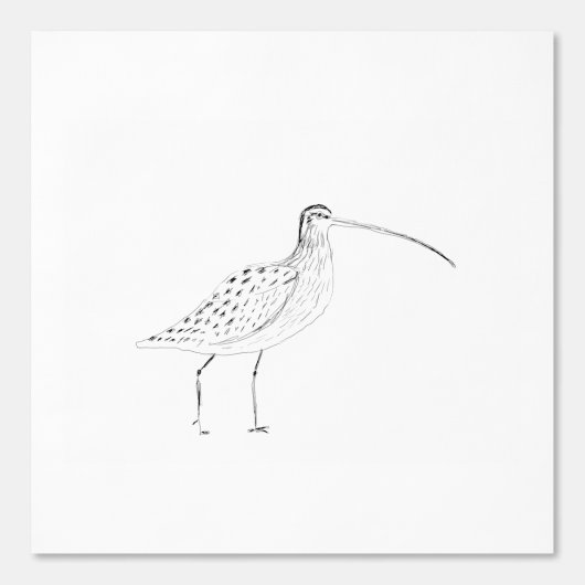 Curlew behang (Voorkant)