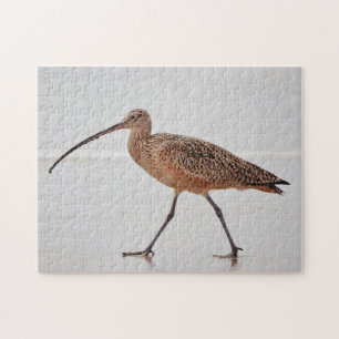 Curlew Bird Beach Walk Natuur Puzzel