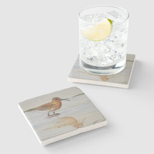 Curlew Sandpiper Onderzetter (Zijkant)