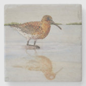 Curlew Sandpiper Onderzetter (Voorkant)