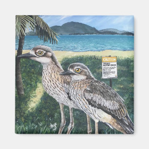 Curlew van Townsville Strand Magneet