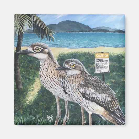 Curlew's of Townsville Strand Magneet (Voorkant)