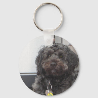 CURLEY SLEUTELHANGER