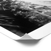 Curley van de Crow-stam, een van Custer's scouts Poster (Hoek)