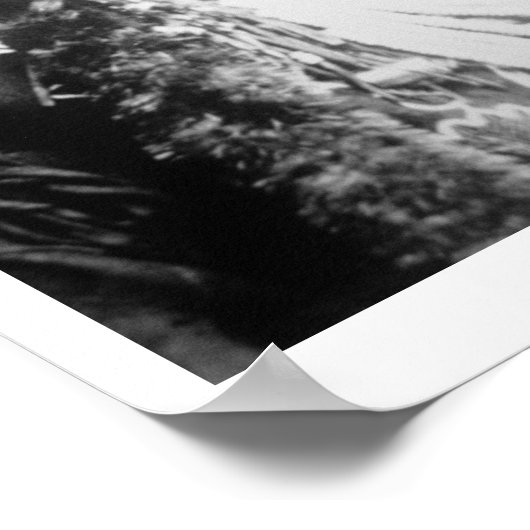 Curley van de Crow-stam, een van Custer's scouts Poster (Hoek)