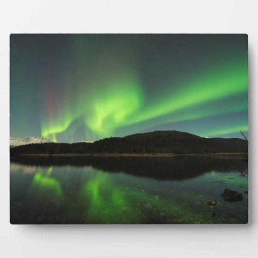 Curling Aurora Fotoplaat (Voorkant)
