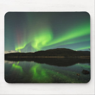 Curling Aurora Muismat