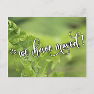 Curling Green Ferns Foto "We hebben verhuisd" Opme Aankondigingskaart