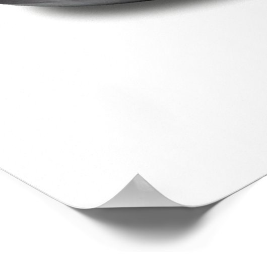 CURLING poster (Hoek)