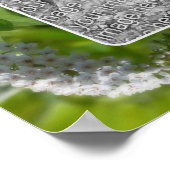 Curling Wildflower Lijst Creëer Je eigen foto Poster (Hoek)