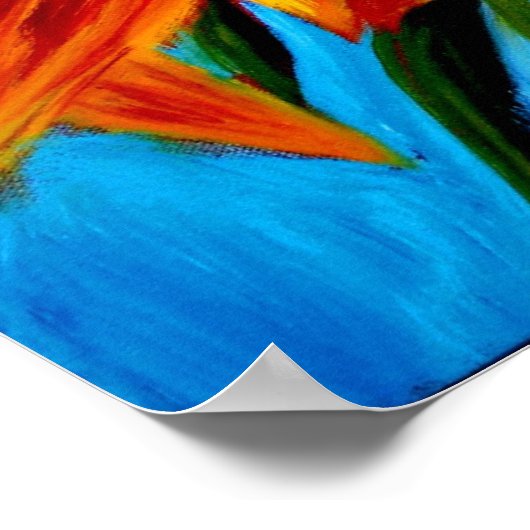 CurlingIn de zon Poster (Hoek)