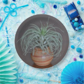 Curly Air Plant Papieren Bordje (Feest)
