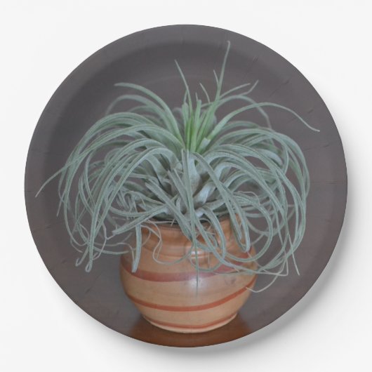 Curly Air Plant Papieren Bordje (Voorkant)