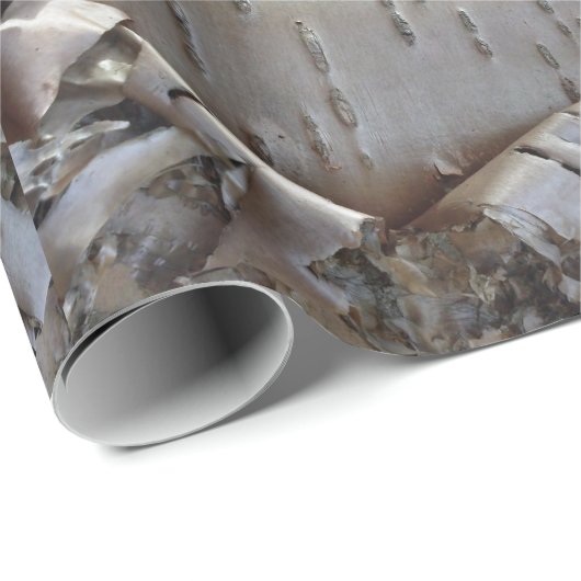 Curly Birch Bark Tree Rustic Cadeaupapier (Rol Hoek)